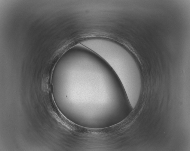 X0000081500585200701121141
