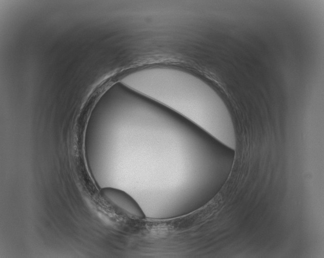 X0000081500587200701121141