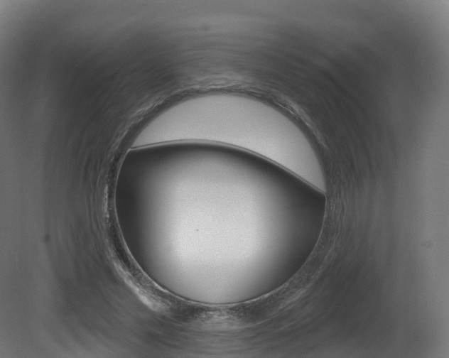 X0000081500589200701121141