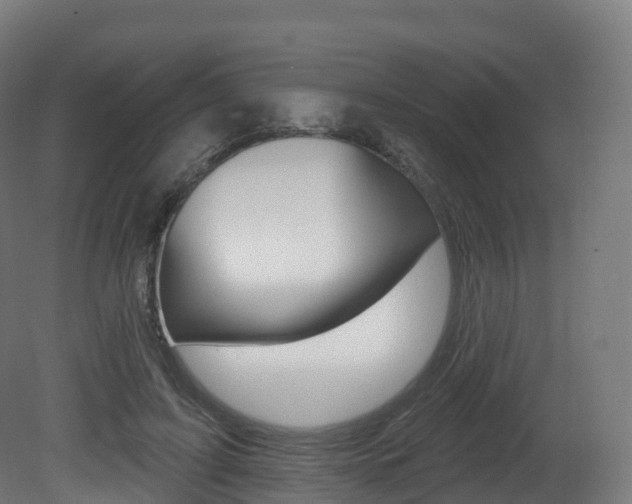 X0000081500595200701121141