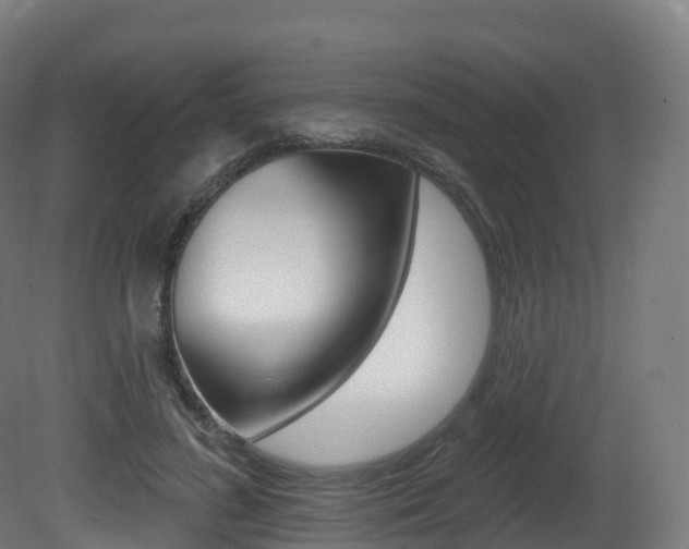 X0000081500596200701121141