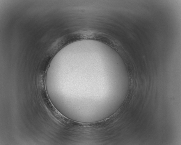 X0000081500598200701121141