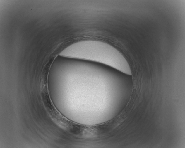 X0000081500599200701121141