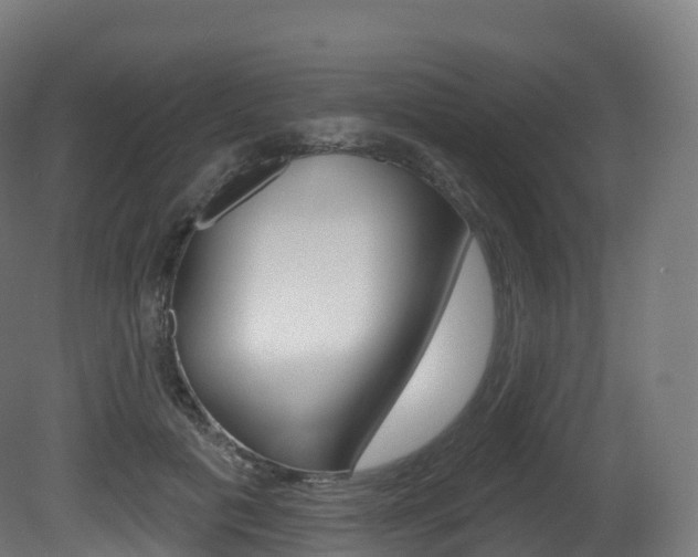 X0000081500601200701121141