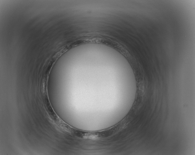 X0000081500602200701121140