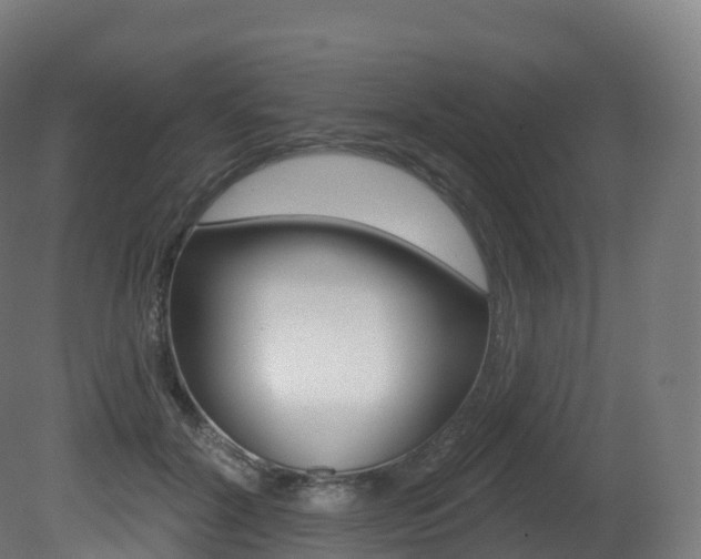 X0000081500604200701121140