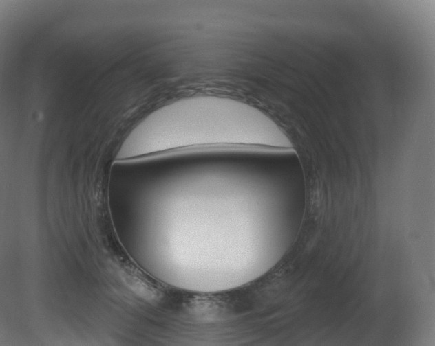 X0000081500608200701121140