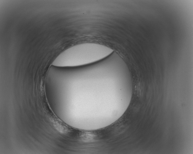 X0000081500610200701121140