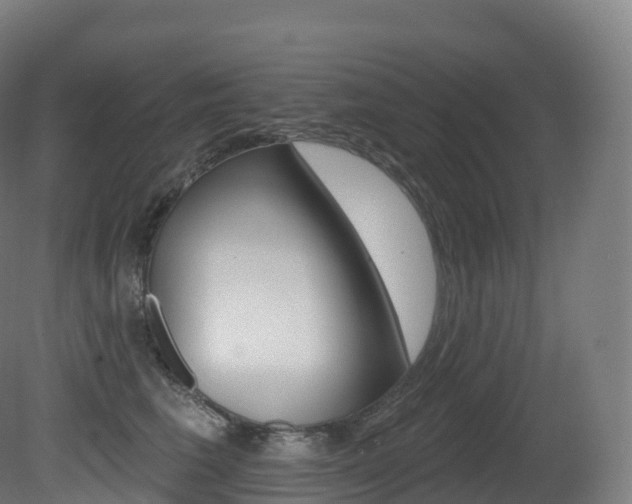 X0000081500613200701121140