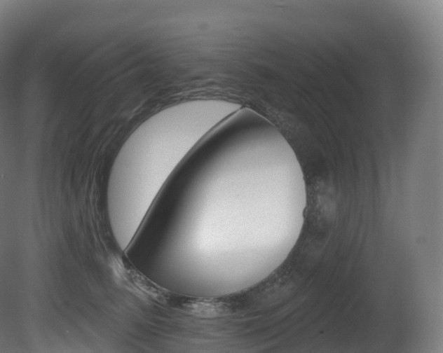 X0000081500615200701121140