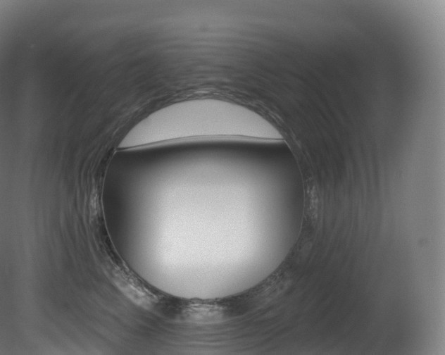 X0000081500617200701121140
