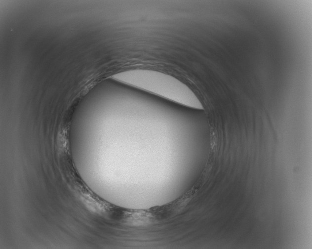 X0000081500621200701121140