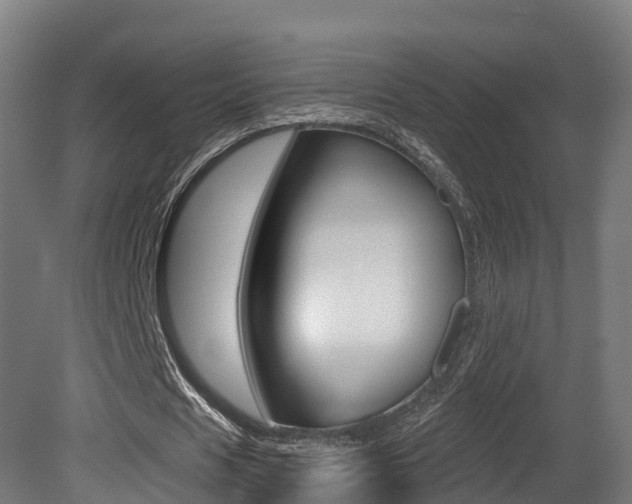 X0000081500625200701121139