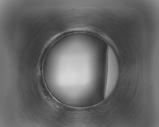 X0000081500628200701121139