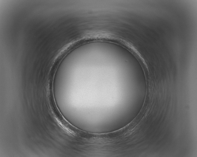 X0000081500629200701121139