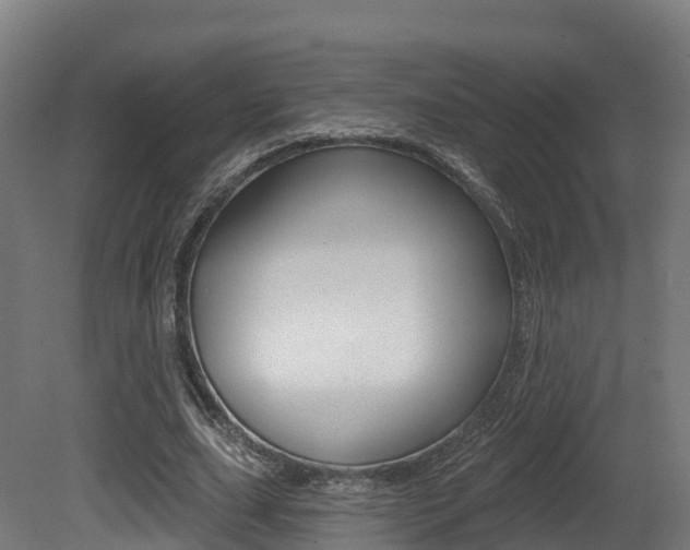 X0000081500631200701121139