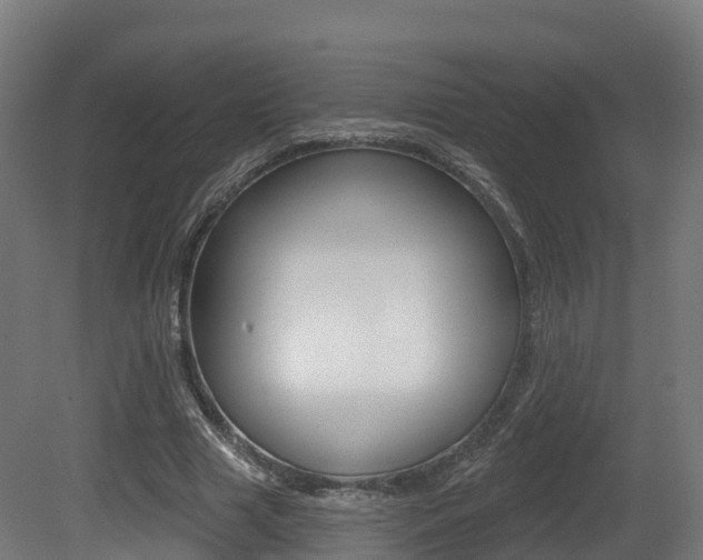 X0000081500633200701121139