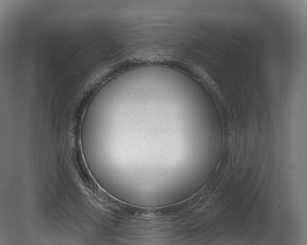 X0000081500635200701121139