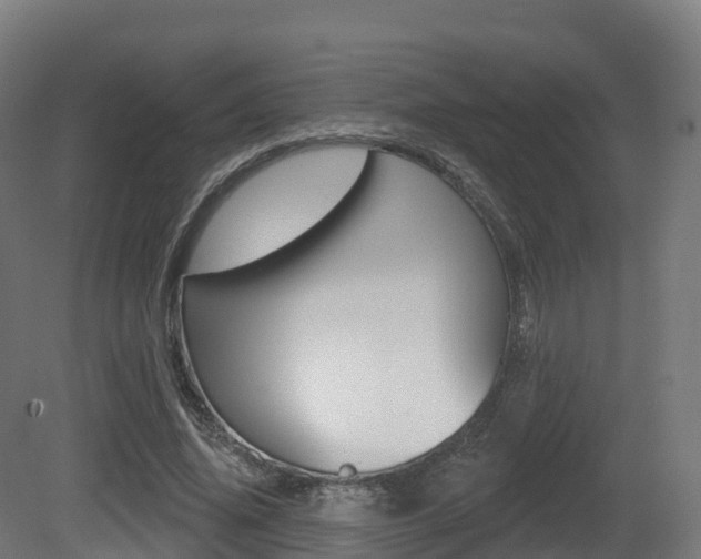 X0000081500636200701121139