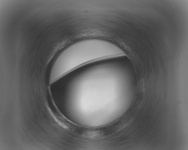 X0000081500638200701121140