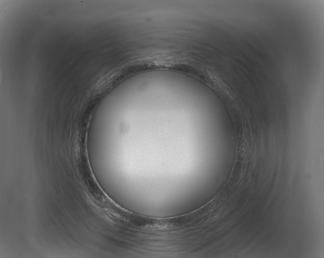 X0000081500639200701121140