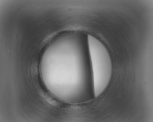 X0000081500640200701121140