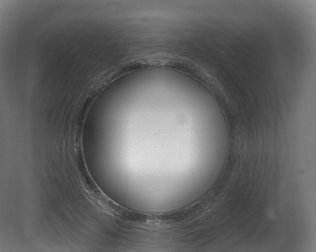 X0000081500641200701121140