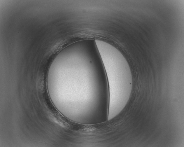 X0000081500642200701121140