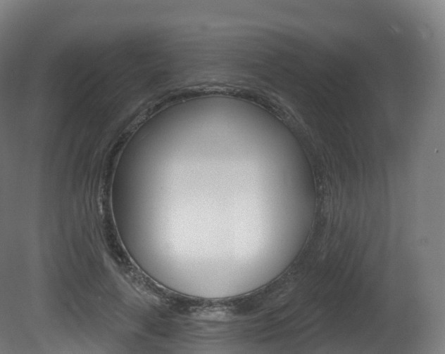 X0000081500643200701121140