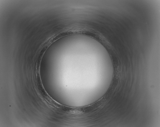 X0000081500644200701121140