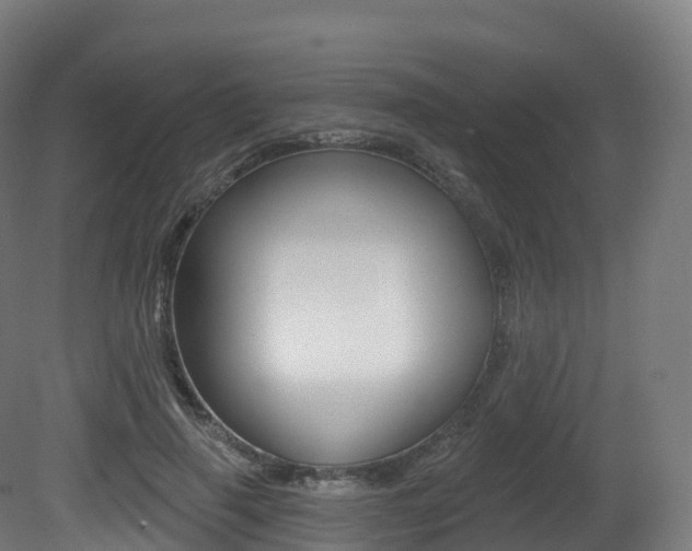 X0000081500645200701121140