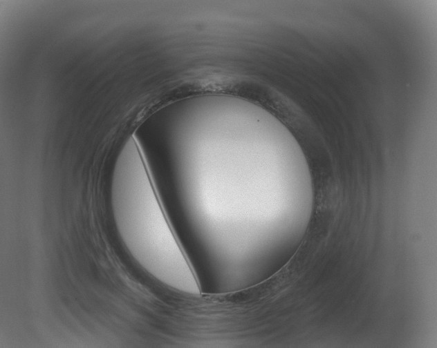 X0000081500646200701121140