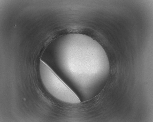 X0000081500647200701121140