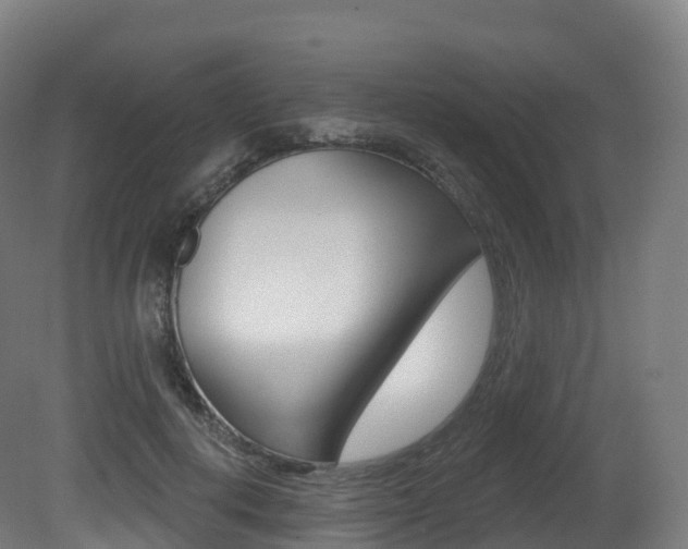 X0000081500648200701121140