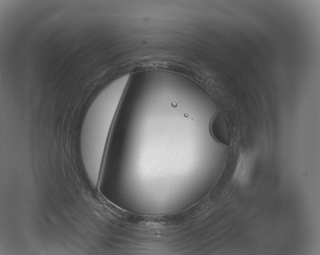 X0000081500649200701121140
