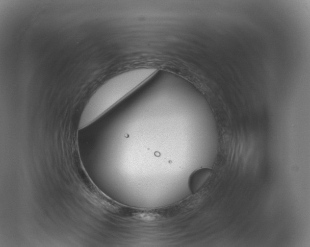 X0000081500654200701121140