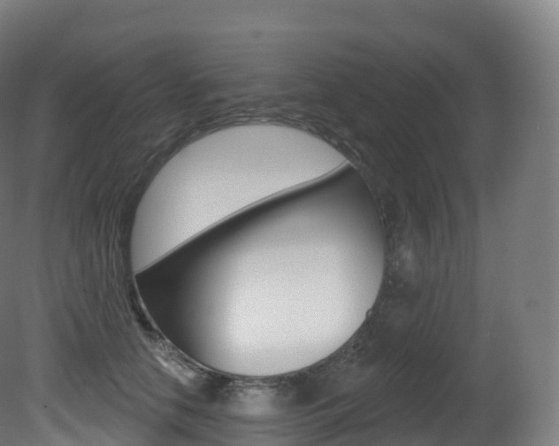X0000081500658200701121140