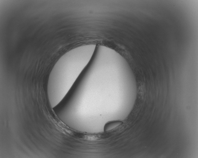 X0000081500662200701121140