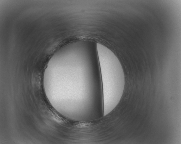 X0000081500664200701121140