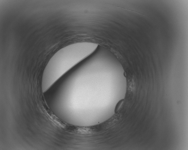 X0000081500666200701121140