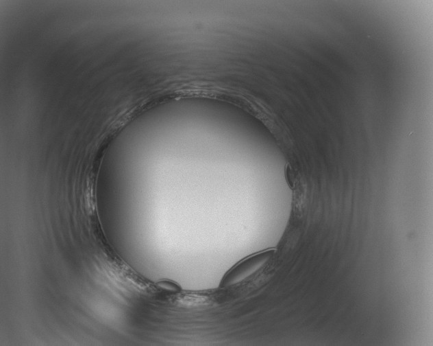 X0000081500669200701121140