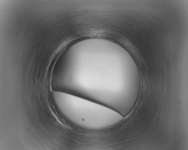 X0000081500674200701121139