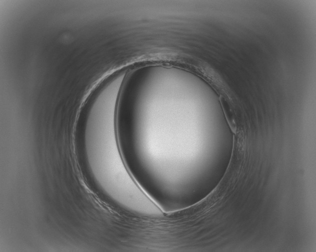 X0000081500676200701121139