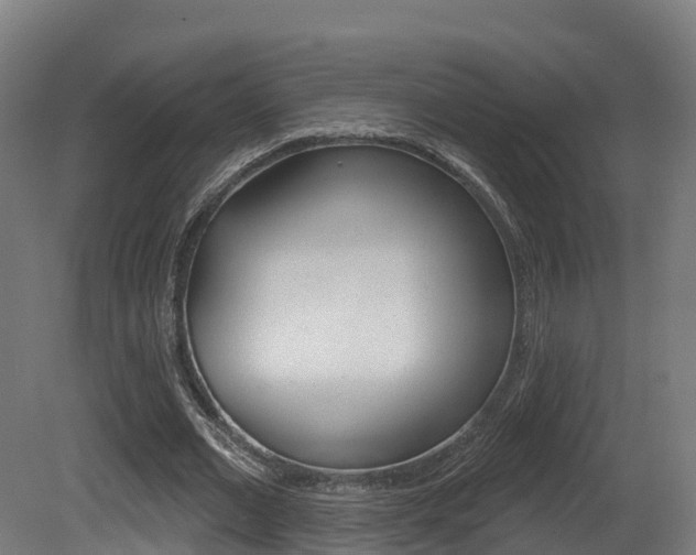X0000081500677200701121139