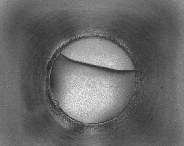 X0000081500679200701121139
