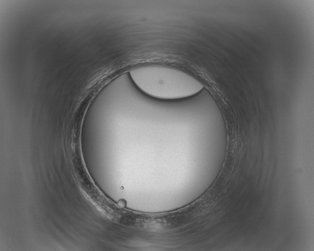 X0000081500683200701121139