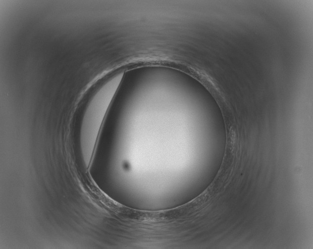 X0000081500684200701121139