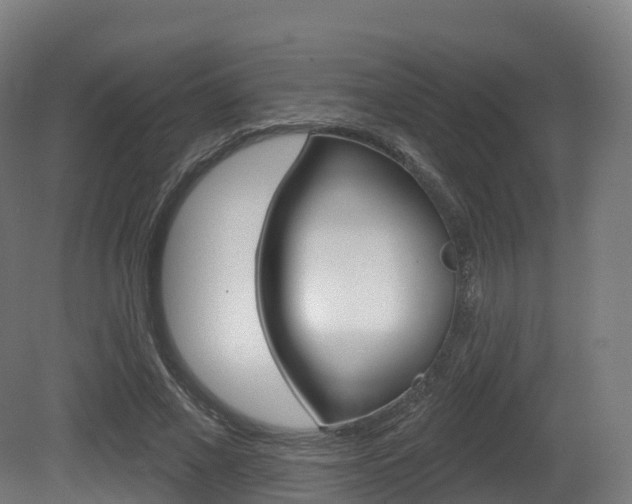 X0000081500685200701121139