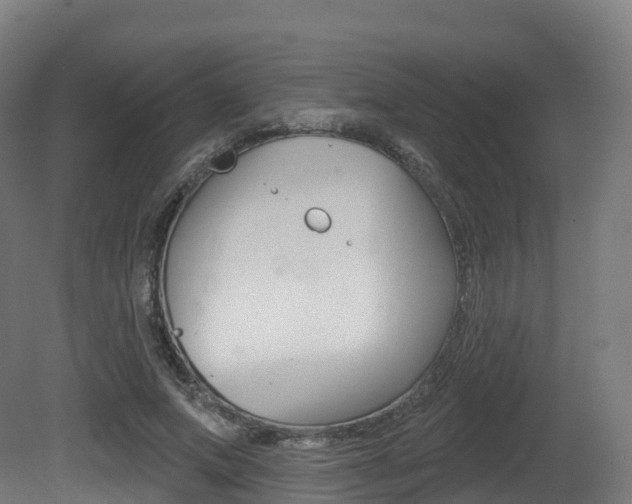 X0000081500687200701121139