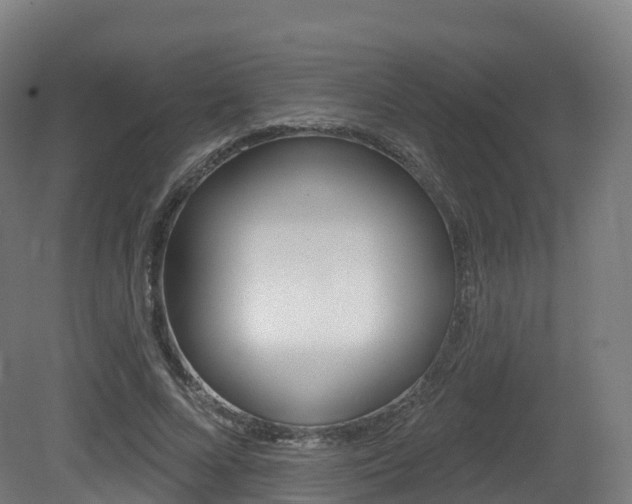 X0000081500688200701121139